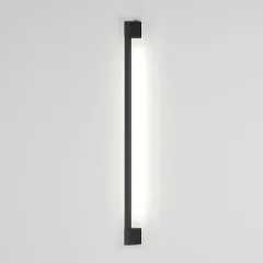 Светильник настенный Elektrostandard 35122/D черный