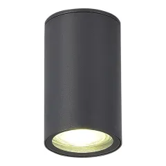 Накладной уличный светильник ST-Luce SL9010.712.01