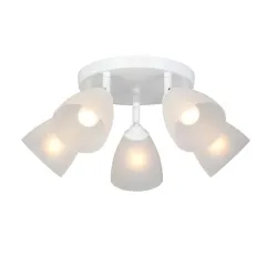 Накладная люстра Vitaluce V4355-0/5PL