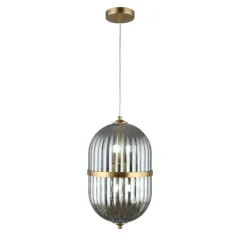 Подвесной светильник APLOYT APL.860.06.06