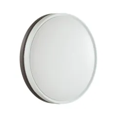 Накладной светильник Sonex 7668/DL