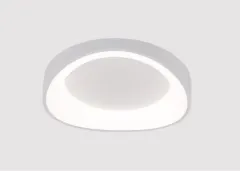 Накладной светильник ARTE Lamp A2698PL-48WH