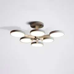 Накладная люстра ImperiumLoft 228860-26