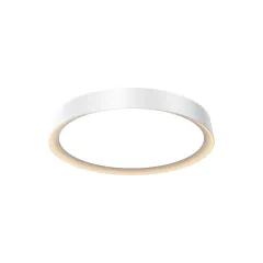 Накладной светильник Maytoni MOD426CL-L32WK