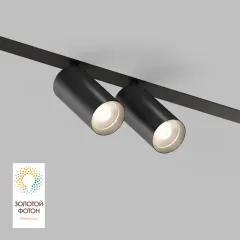 Светильник на шине Denkirs DK8012-BK