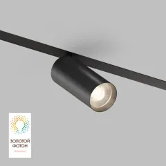 Светильник на шине Denkirs DK8020-BK