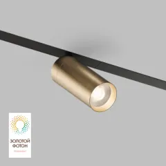 Светильник на шине Denkirs DK8020-BG