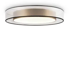 Накладной светильник Freya FR6005CL-L48G