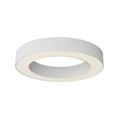 Накладной светильник Maytoni Technical C093CL-36W3K-W