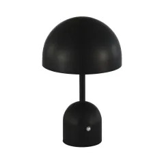 Настольная лампа Evoluce SLE1806-404-01