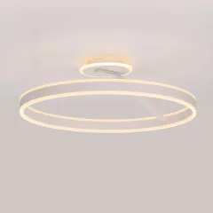 Накладной светильник Citilux CL719760