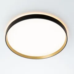 Накладной светильник Citilux CL750401R