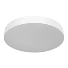 Накладной светильник Citilux CL755490