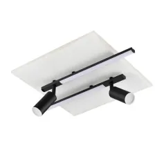 Накладной светильник LUMION 8256/40CL