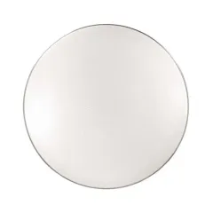 Накладной светильник Sonex 2051/DLN