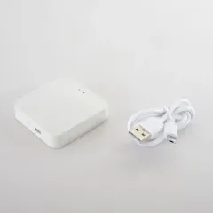 WI-FI конвертер Crystal Lux CLT 0.203 12