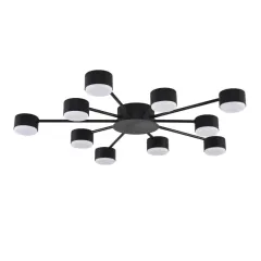 Накладная люстра LUMION 8344/10C