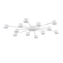 Накладная люстра LUMION 8343/12C