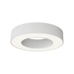 Накладной светильник Maytoni Technical C093CL-24W4K-W