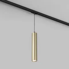 Светильник на шине Denkirs DK6210-BG