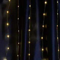 Светодиодная гирлянда Feron 48598
