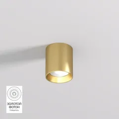 Накладной светильник Denkirs DK2610-SB