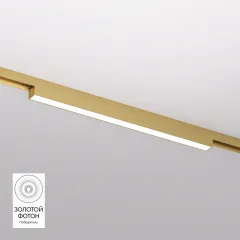 Светильник на шине Denkirs DK5751-SB