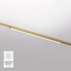 Светильник на шине Denkirs DK5752-SB