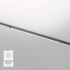 Светильник на шине Denkirs DK5752-DN