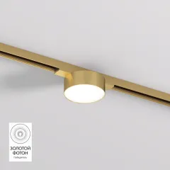 Светильник на шине Denkirs DK5761-SB