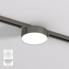 Светильник на шине Denkirs DK5762-DN