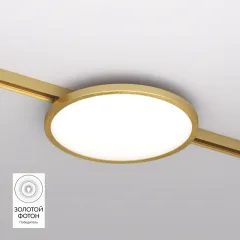 Светильник на шине Denkirs DK5763-SB