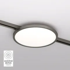 Светильник на шине Denkirs DK5763-DN