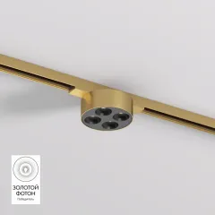 Светильник на шине Denkirs DK5772-SB