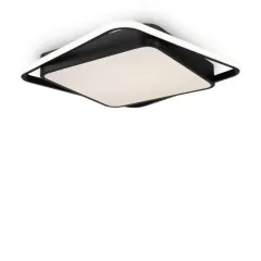 Накладной светильник Freya FR10030CL-L88B