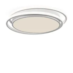 Накладной светильник Freya FR10031CL-L98W