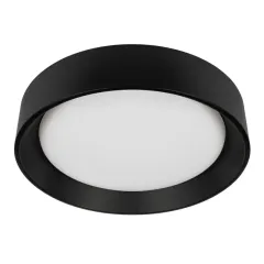 Накладной светильник LOFT IT 10202 BB