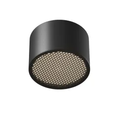 Влагозащищенный светильник Maytoni Technical C122CL-GX53-B