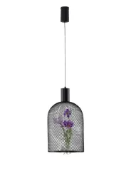 Подвесной светильник Moderli V11875-PL