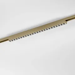 Светильник на шине Elektrostandard 85529/01 латунь