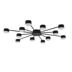 Накладная люстра LUMION 8344/12C