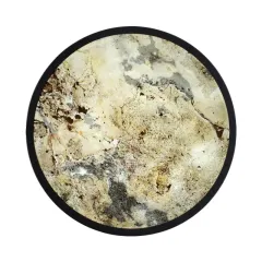 Бра Odeon Light 5064/30L