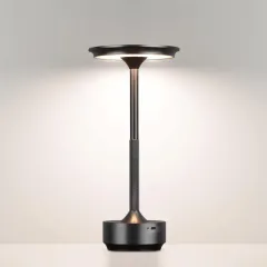 Настольная лампа Odeon Light 5034/6TL