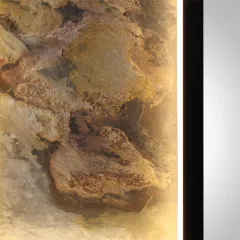 Бра Odeon Light 5078/30WL