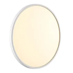 Накладной светильник Sonex 7659/40L