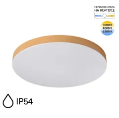 Накладной светильник Sonex 7761/50L