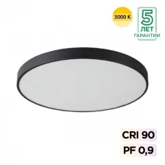 Накладной светильник Sonex 7756/92L