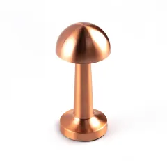 Настольная лампа Escada 10257/L LED