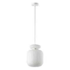 Подвесной светильник Odeon Light 5042/1C