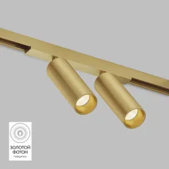 Светильник на шине Denkirs DK5742-SB